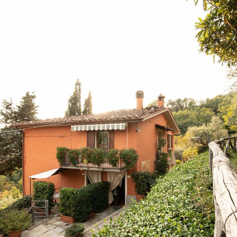 Casetta Di Butia, Mimosa Apartment Borgo a Mozzano Exteriör bild