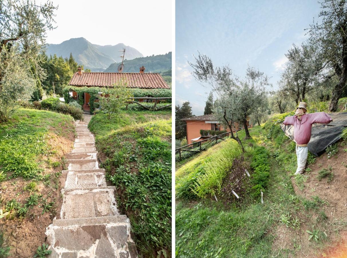 Casetta Di Butia, Mimosa Apartment Borgo a Mozzano Exteriör bild