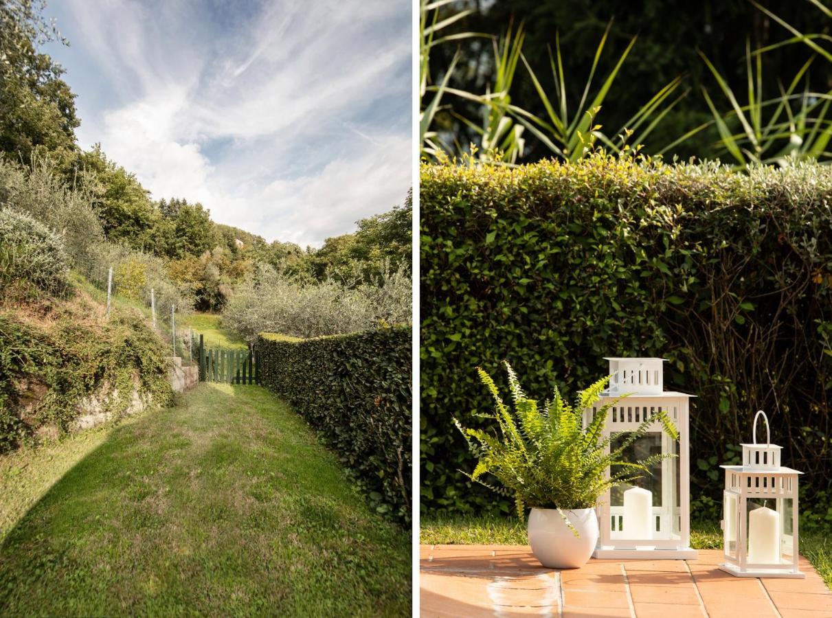 Casetta Di Butia, Mimosa Apartment Borgo a Mozzano Exteriör bild